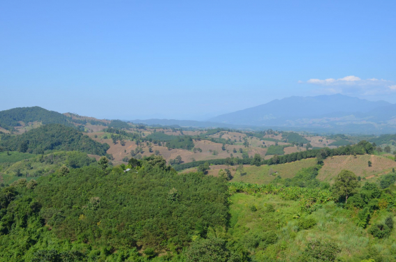 Forest loss in sloping lands replaced by agricultural plantation in Nan province, Thailand. (Image courtesy: Zhenzhong Zeng)
